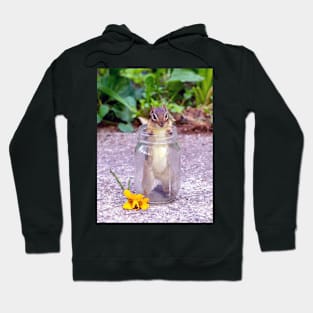 Chipmunk in a jar Hoodie